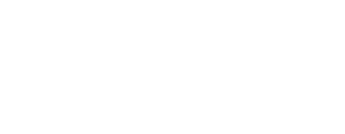 Verbrugge International